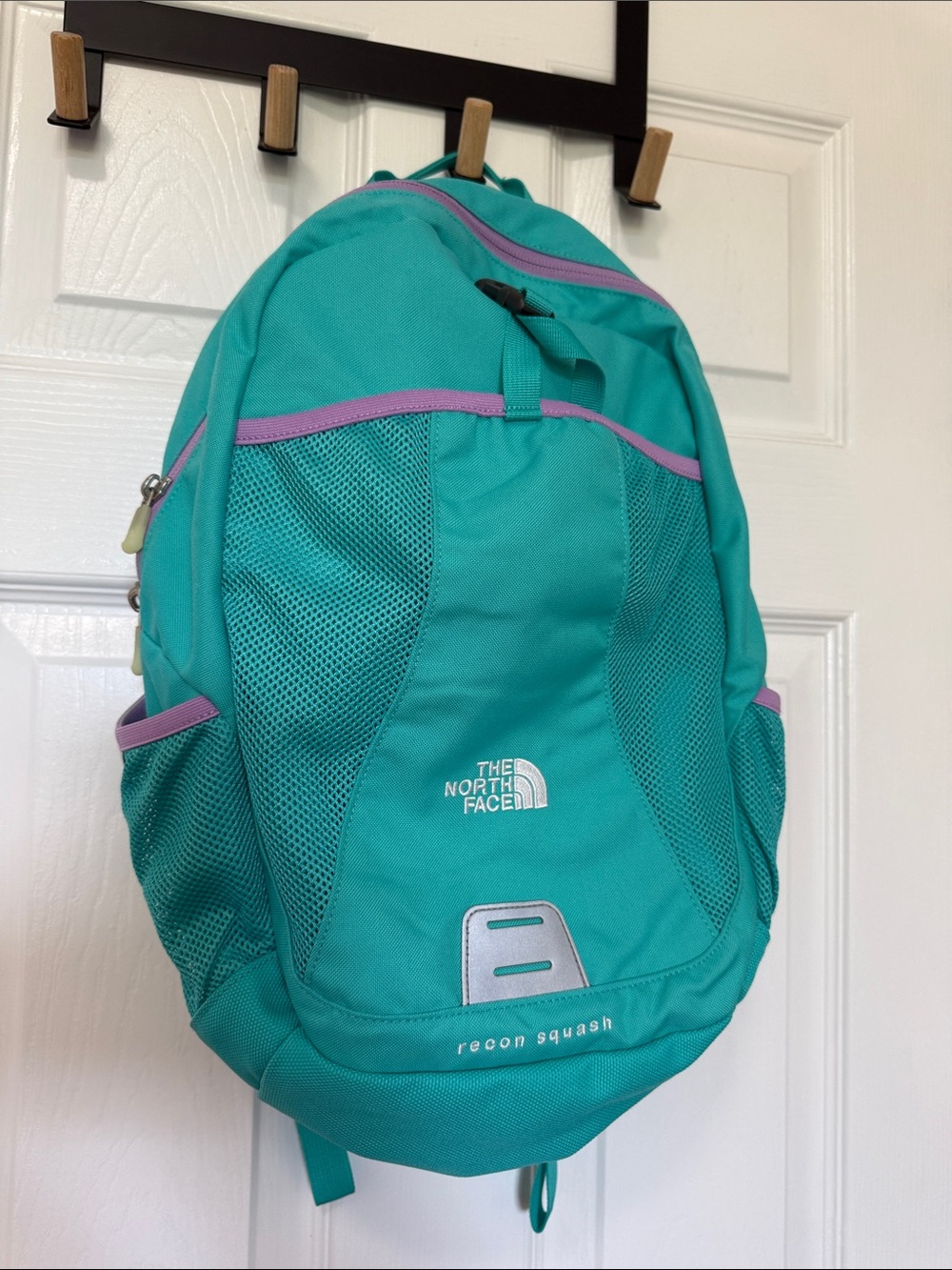 The North Face Teal Backpack with Purple Trim